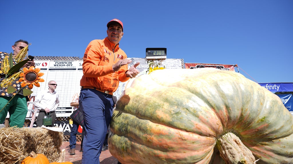 Minnesota man drives hauls giant pumpkin over 2,000 miles to California competition โ CBS Bay Area (KPIX), Mountain View Community news