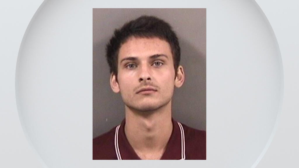 Suspect arrested in Berkeley hit-and-run that injured elderly tourists from Spain — CBS Bay Area (KPIX), Mountain View Health news