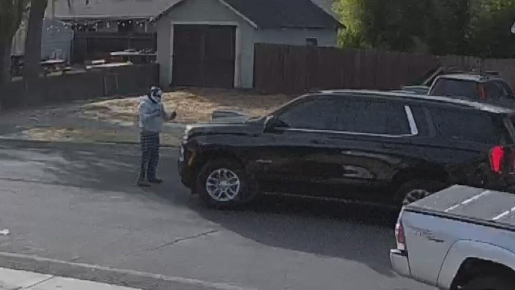 Woodland police dispute DHS account of ICE agent's collision with pedestrian — CBS Bay Area (KPIX), Mountain View Health news