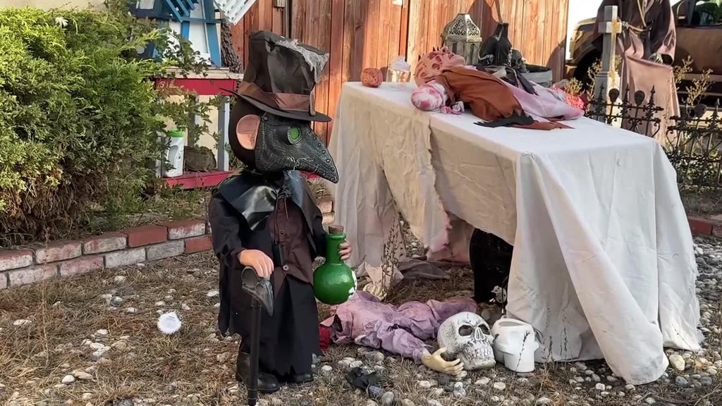 Halloween decorations worth roughly $700 stolen from San Leandro home — CBS Bay Area (KPIX), Mountain View Schools news