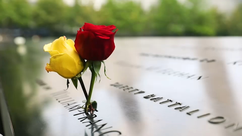 Second 9/11 victim identified with breakthrough genetic genealogy, NYC officials say
— ABC 7 Bay Area, Mountain View Community news