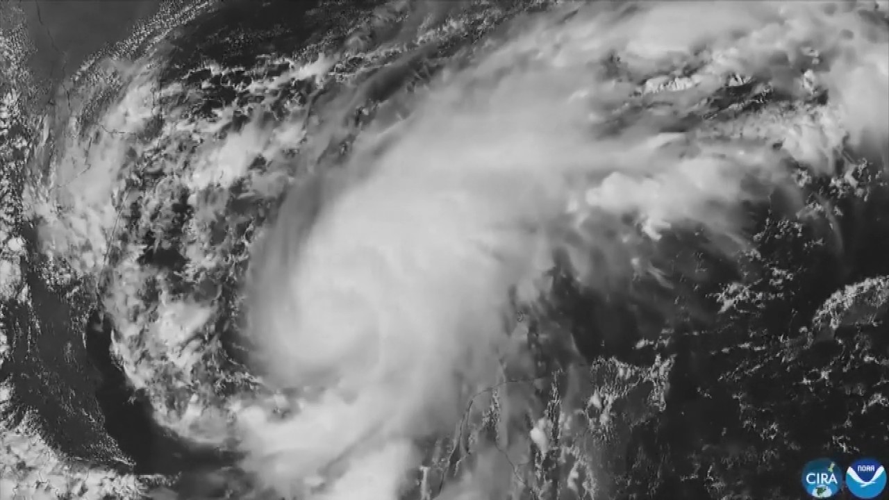 Hurricane Isaias: Residents board up windows and National Guard troops deploy as storm nears US Gulf Coast
— ABC 7 Bay Area, Mountain View Sports news