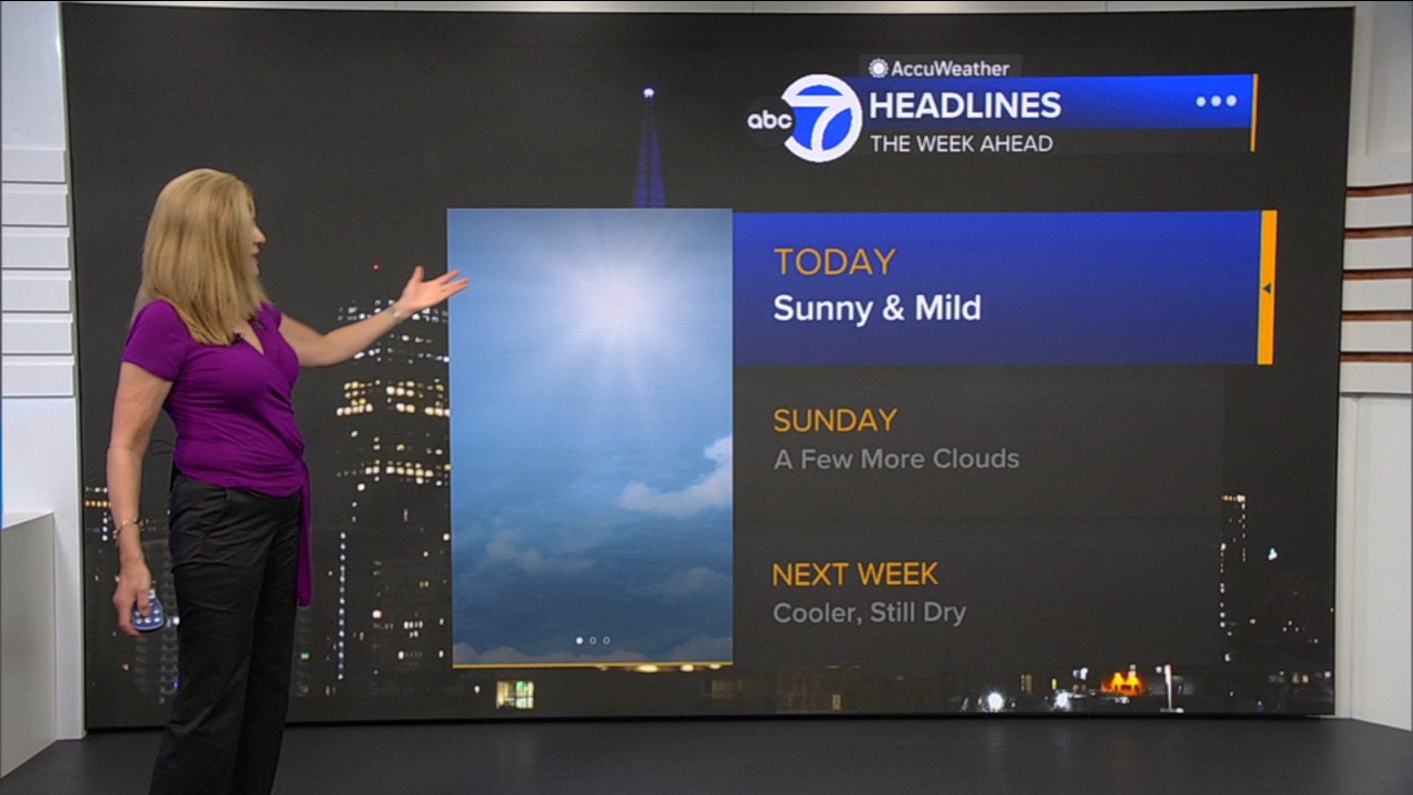 AccuWeather Forecast: Sunny and mild
       — ABC 7 Bay Area, Mountain View Community news