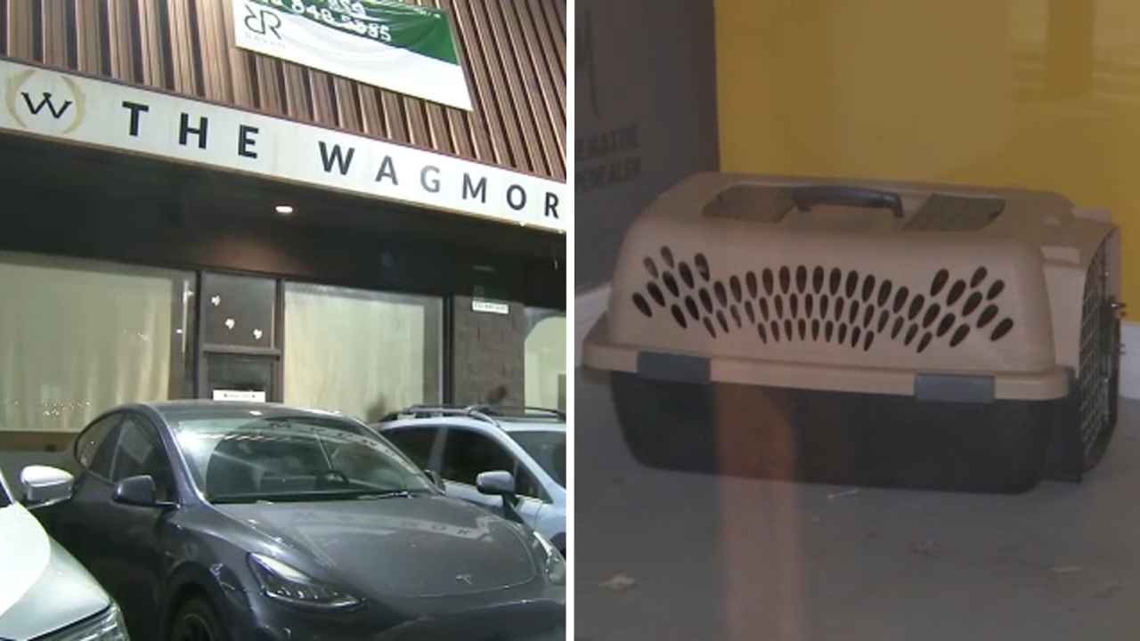 Lawsuit accuses Los Angeles animal rescue of running puppy laundering operation
— Mountain View Community news