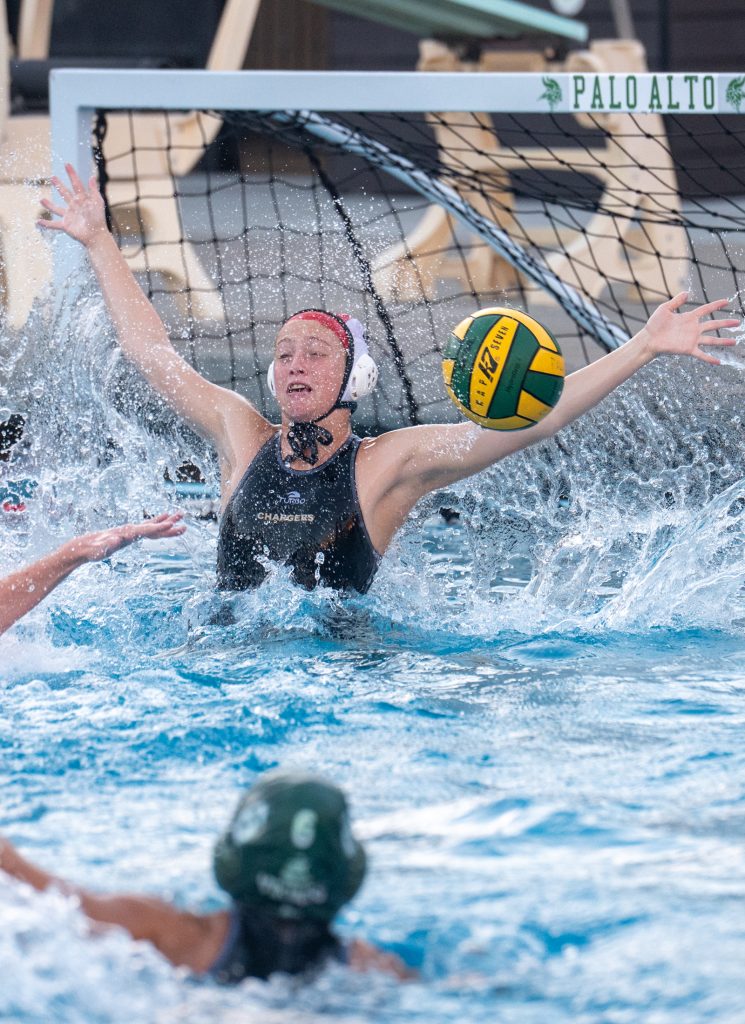 Wilcox Water Polo Caught in Vikings Rip Current — Silicon Valley Voice, Mountain View Sports news