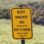 Pointers for Public Land Hunting — NewsDakota, Mountain View Sports news