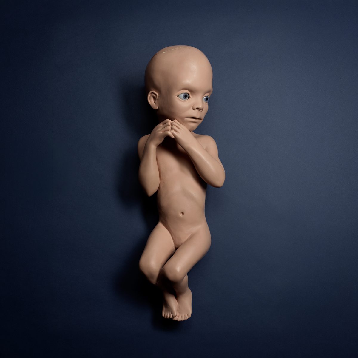 Iconic Stanley Kubrick Props Hit the Auction Block — Los Angeles Magazine, Mountain View Arts news