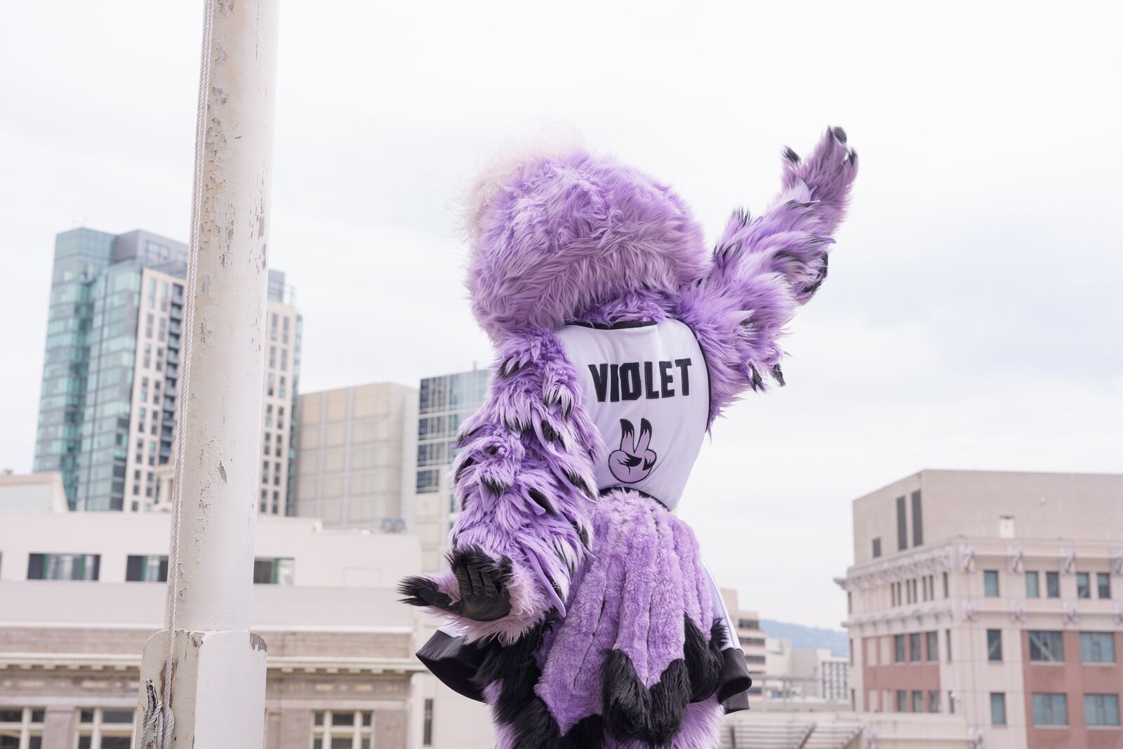 This week in Oakland: an outdoor Valkyries watch party, and singersongwriter Laura Anglade at Yoshi’s — The Oaklandside, Mountain View Arts news