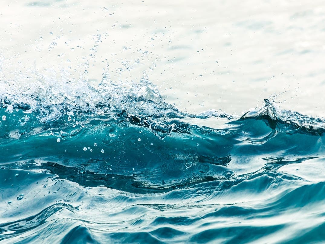 Swimmer Makes History To Protect Ocean + Girl Scout Helps People With Dementia: Saturday Smiles — San Francisco Patch, Mountain View Schools news