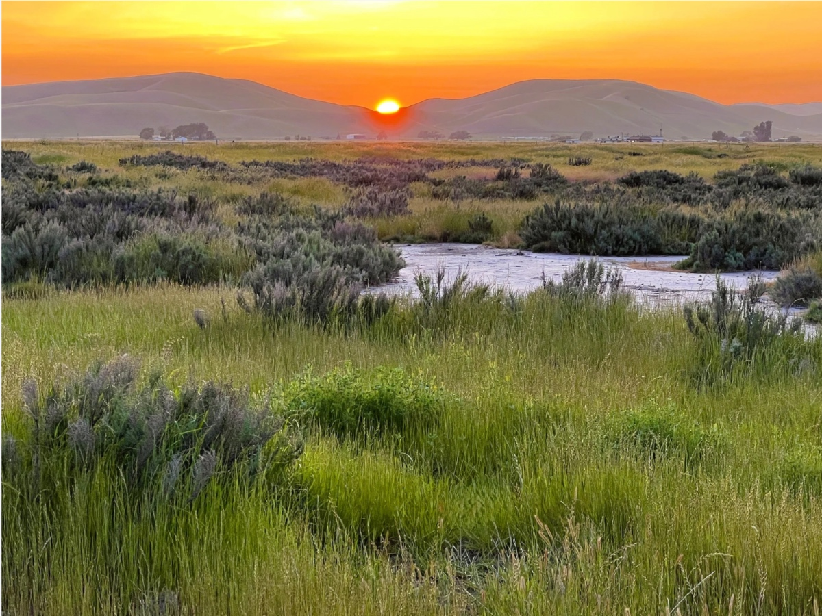 331 Acres Of Tri-Valley Wildlife Habitat, Open Space Permanently Protected — Danville Patch, Mountain View Community news