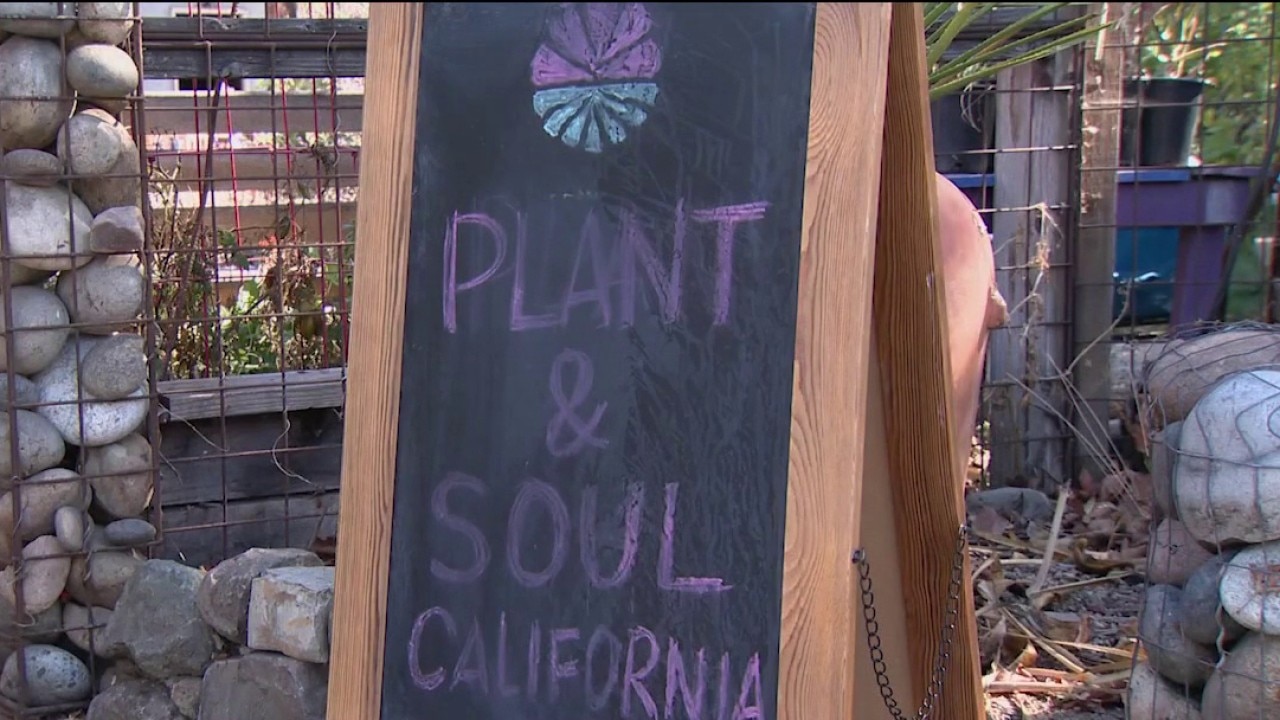 San Jose community garden faces possible eviction — KTVU FOX 2 Bay Area, Mountain View Schools news