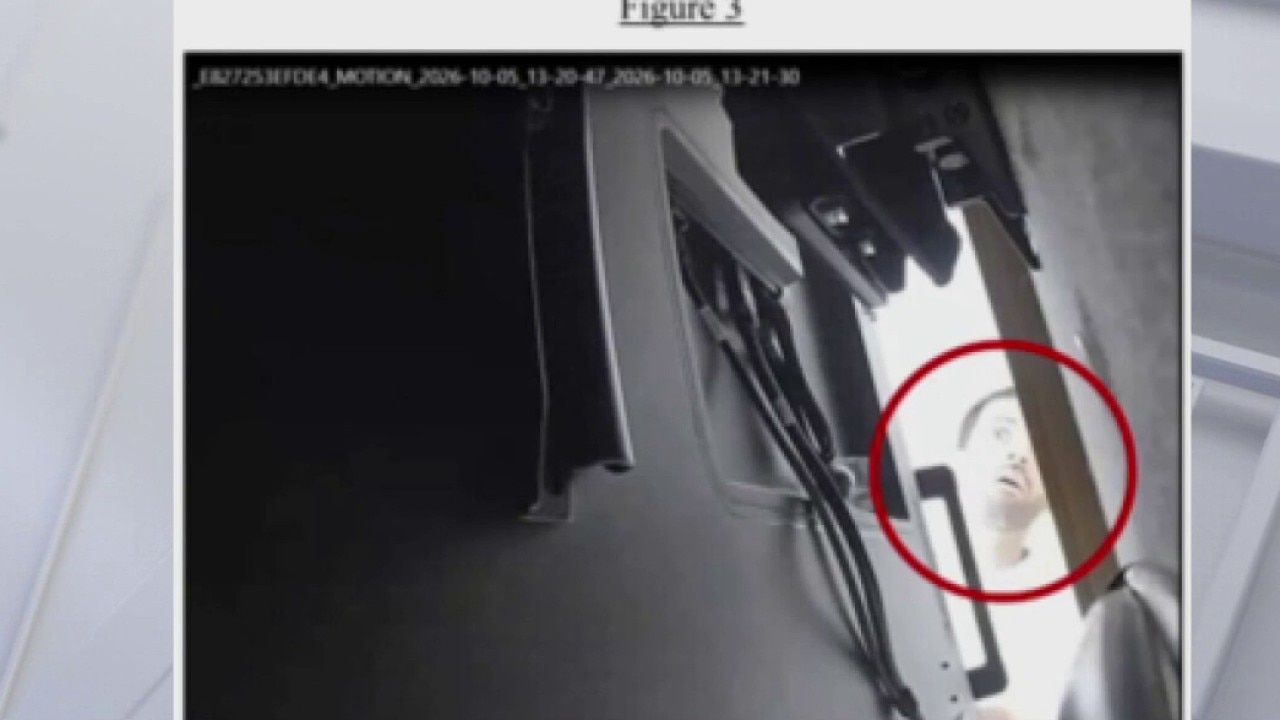 Federal grand jury indicts alleged open AI spy  — Mountain View Technology news