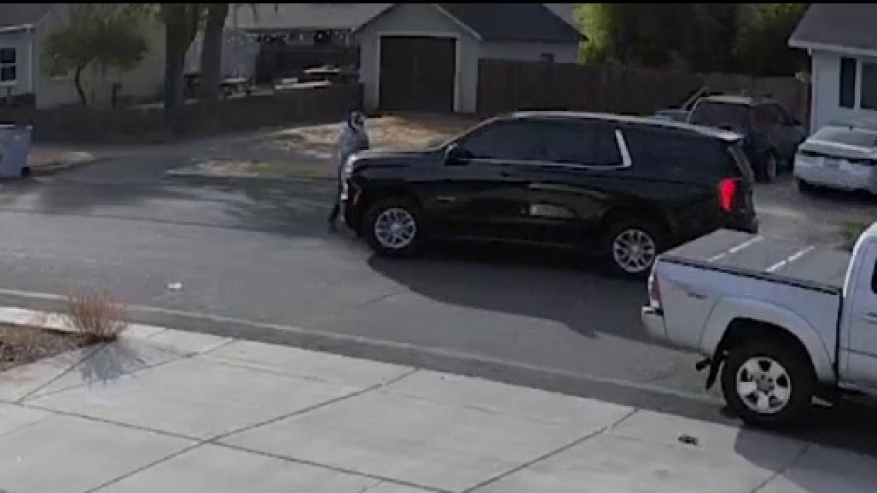 Pedestrian hit by federal immigration agent's vehicle in Yolo County — KTVU FOX 2 Bay Area
