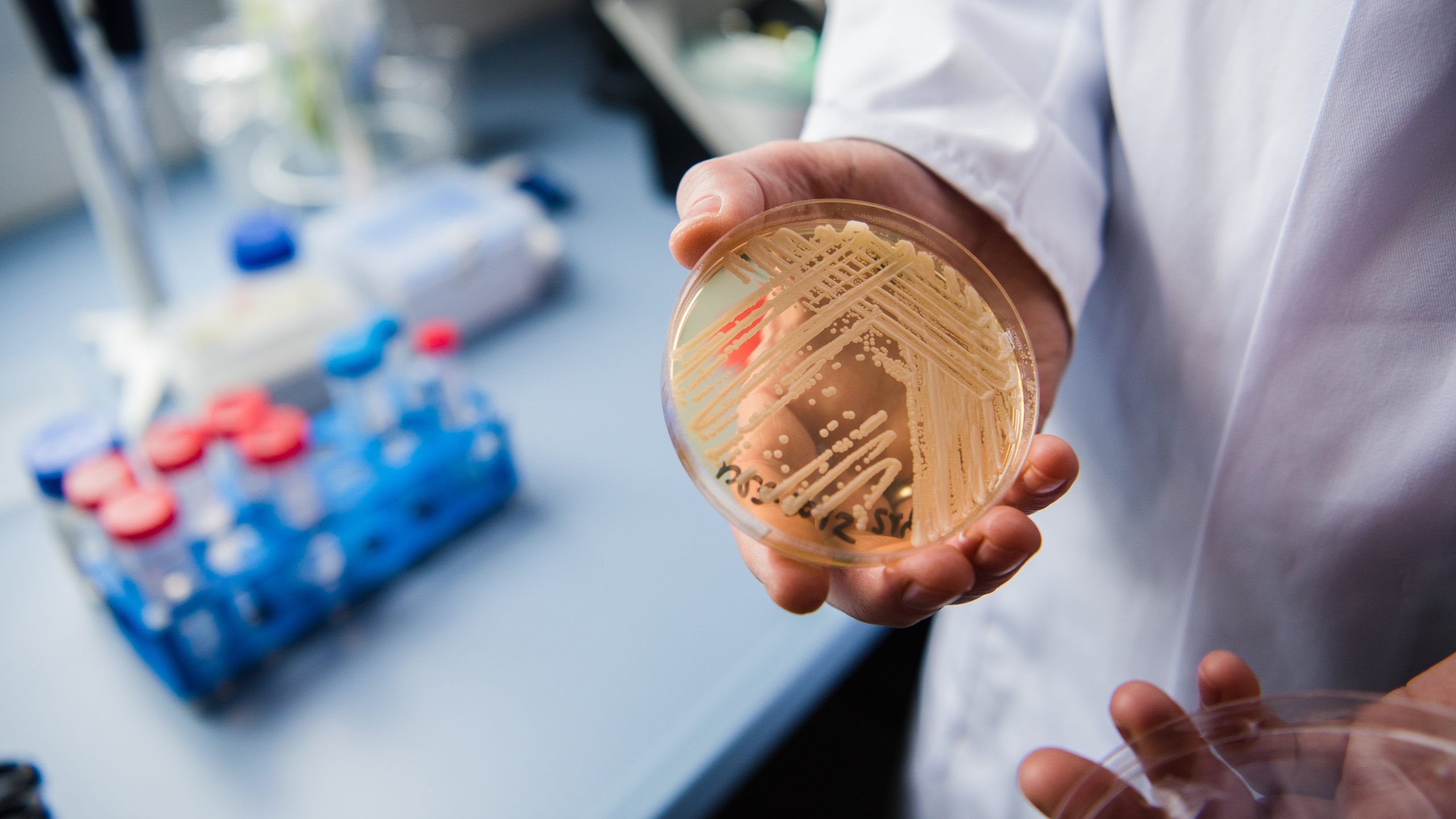 New study reveals why dangerous fungus is so difficult to treat — KTVU FOX 2 Bay Area, Mountain View Community news