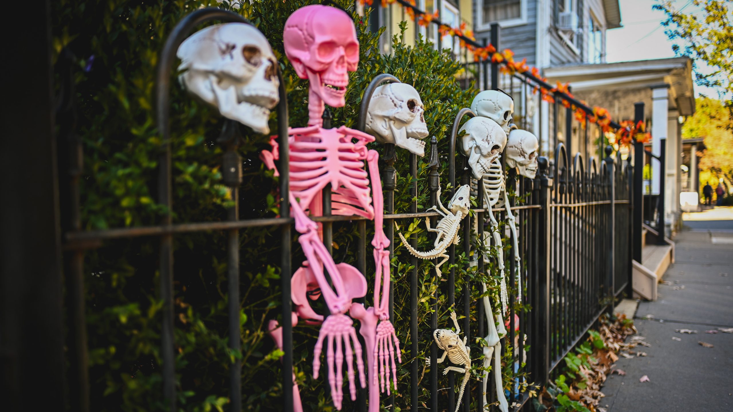 America's best cities for Halloween, ranked — KTVU FOX 2 Bay Area, Mountain View Community news